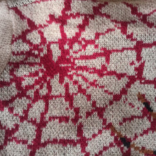 Laden Sie das Bild in den Galerie-Viewer, VTG - Fabulous Spider Tarantula Cowichan