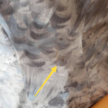 Charger l'image dans la galerie, 1950s - Gorgeous Novelty Floral Cotton Dress - W30 (76cm)