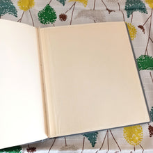 Charger l'image dans la galerie, 1950s - Unused - Precious Spider Web Separators Novelty Photo Album