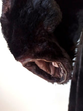 Charger l'image dans la galerie, 1930s 1940s - THIEMANN, Germany - Stunning Fur Coat
