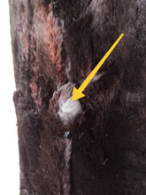 Charger l'image dans la galerie, 1930s 1940s - THIEMANN, Germany - Stunning Fur Coat
