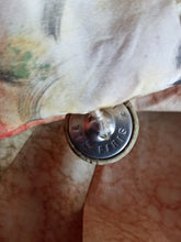 Load image into Gallery viewer, 1950s - LE REUSSI, Paris - Exquisite Roseprint Dress - W28.5 (72cm)
